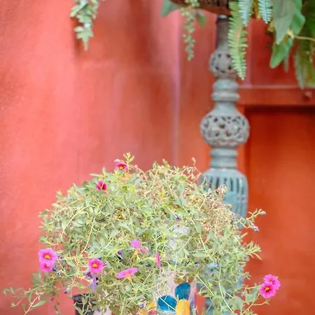 Flatguest Casa Del Sol - Terrace - Parking 펜션